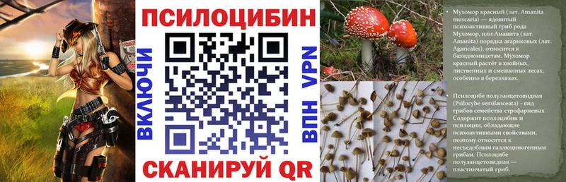 Купить Далматово Псилоцибиновые грибы Cubensis